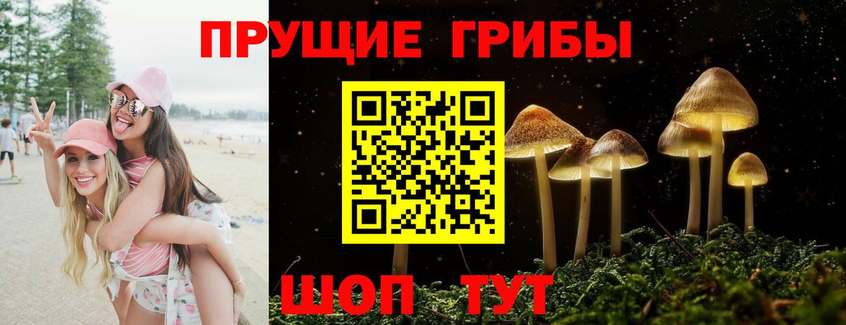 Псилоцибиновые грибы Psilocybine cubensis Сарапул
